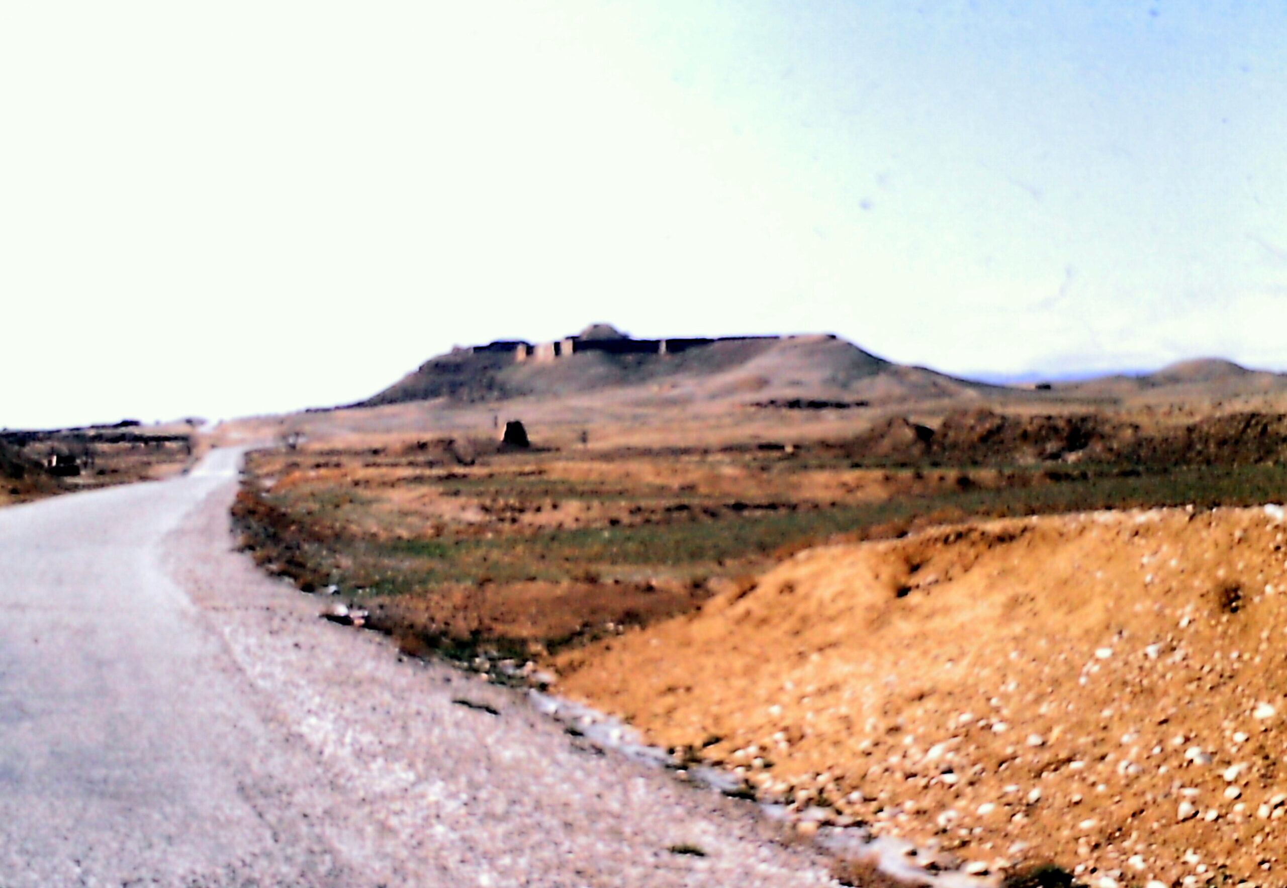 PAKISTANS KRIGSSUCCES I AFGHANISTAN (suppleret i forhold til version pÃ¥ POV.international.com)